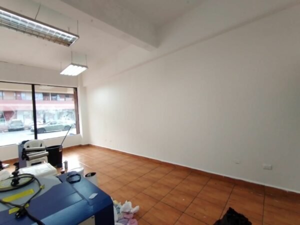 PINTURA FACILITA - Imagen 2