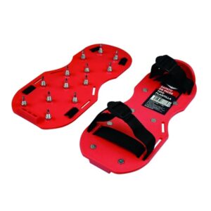 ZAPATOS DE PUAS